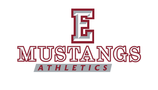 MustangNation! 